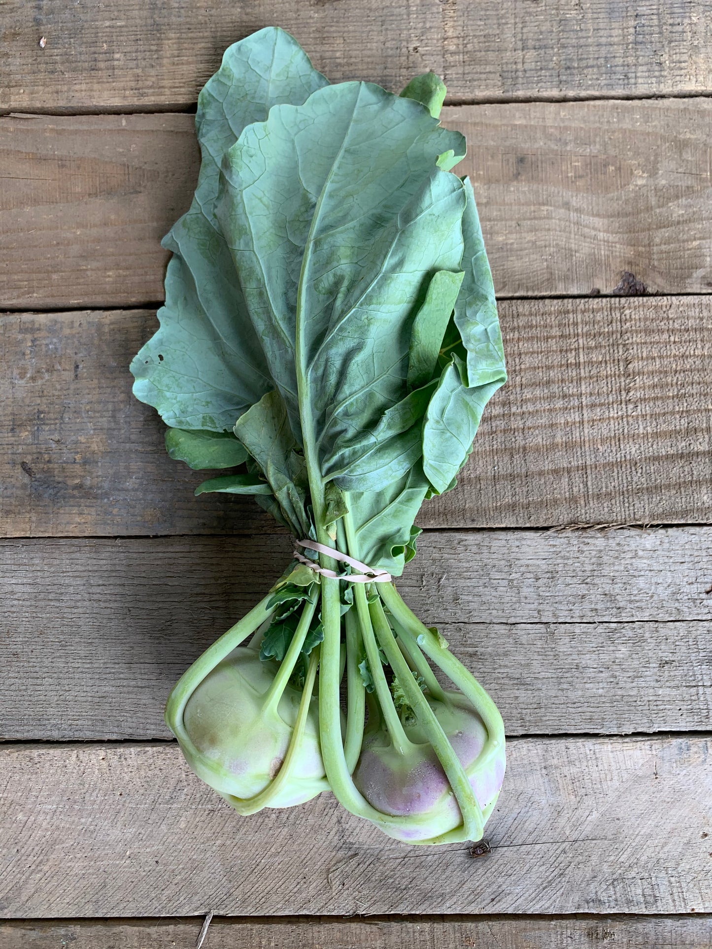 Kohlrabi