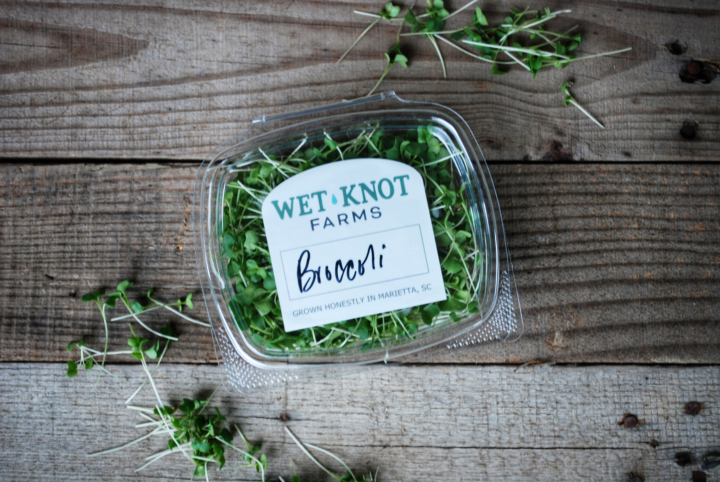 Broccoli Microgreens - 1 oz.