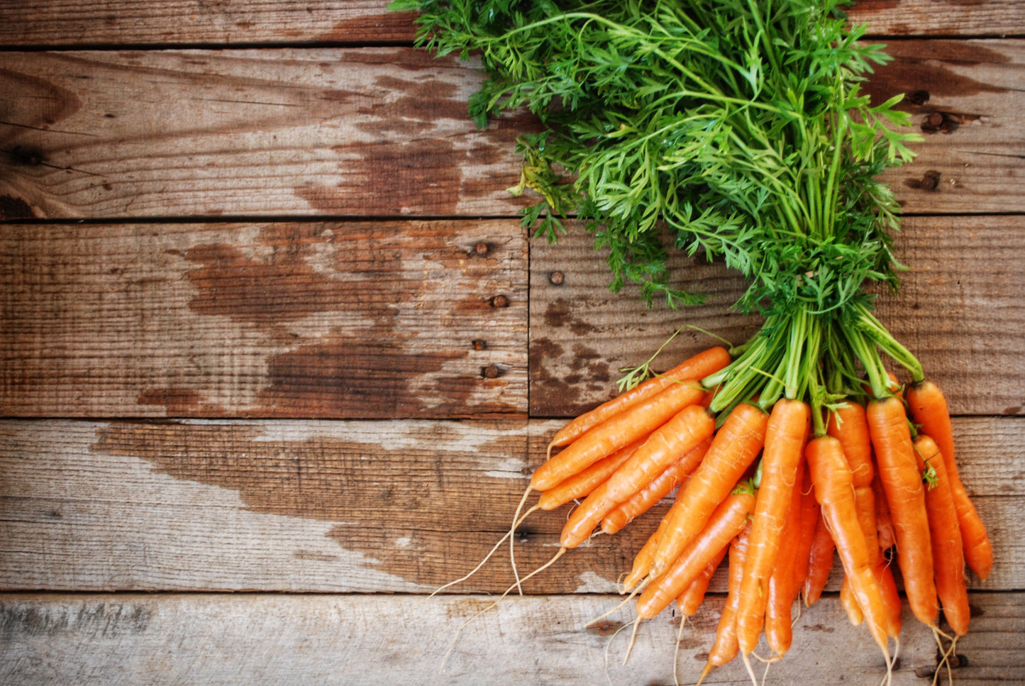 Carrot bunch
