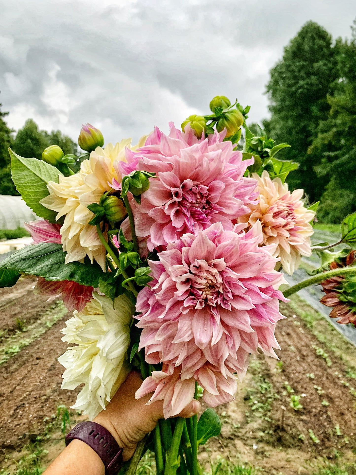 2026 Fall Bouquet Subscription