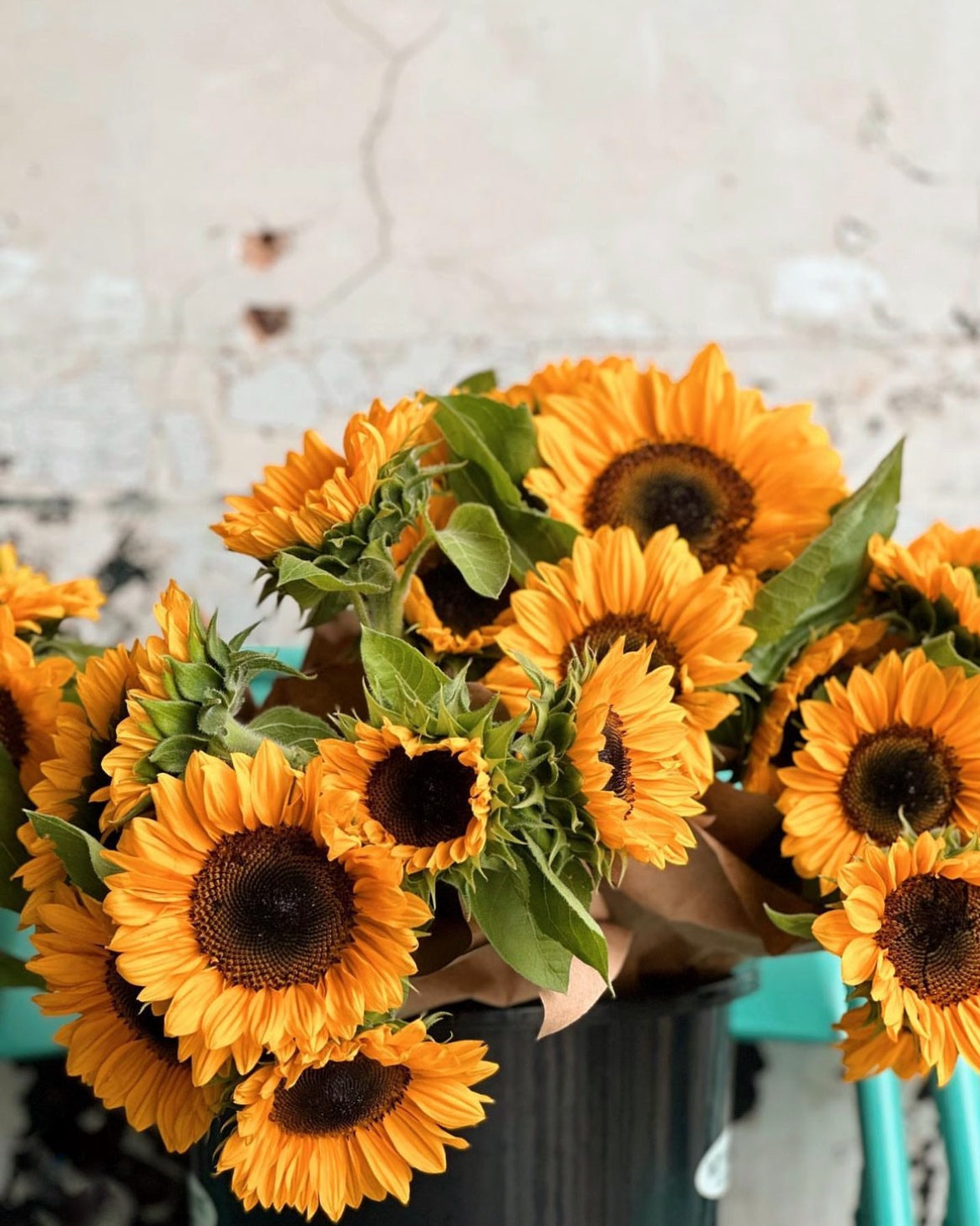 Sunflower Bunch