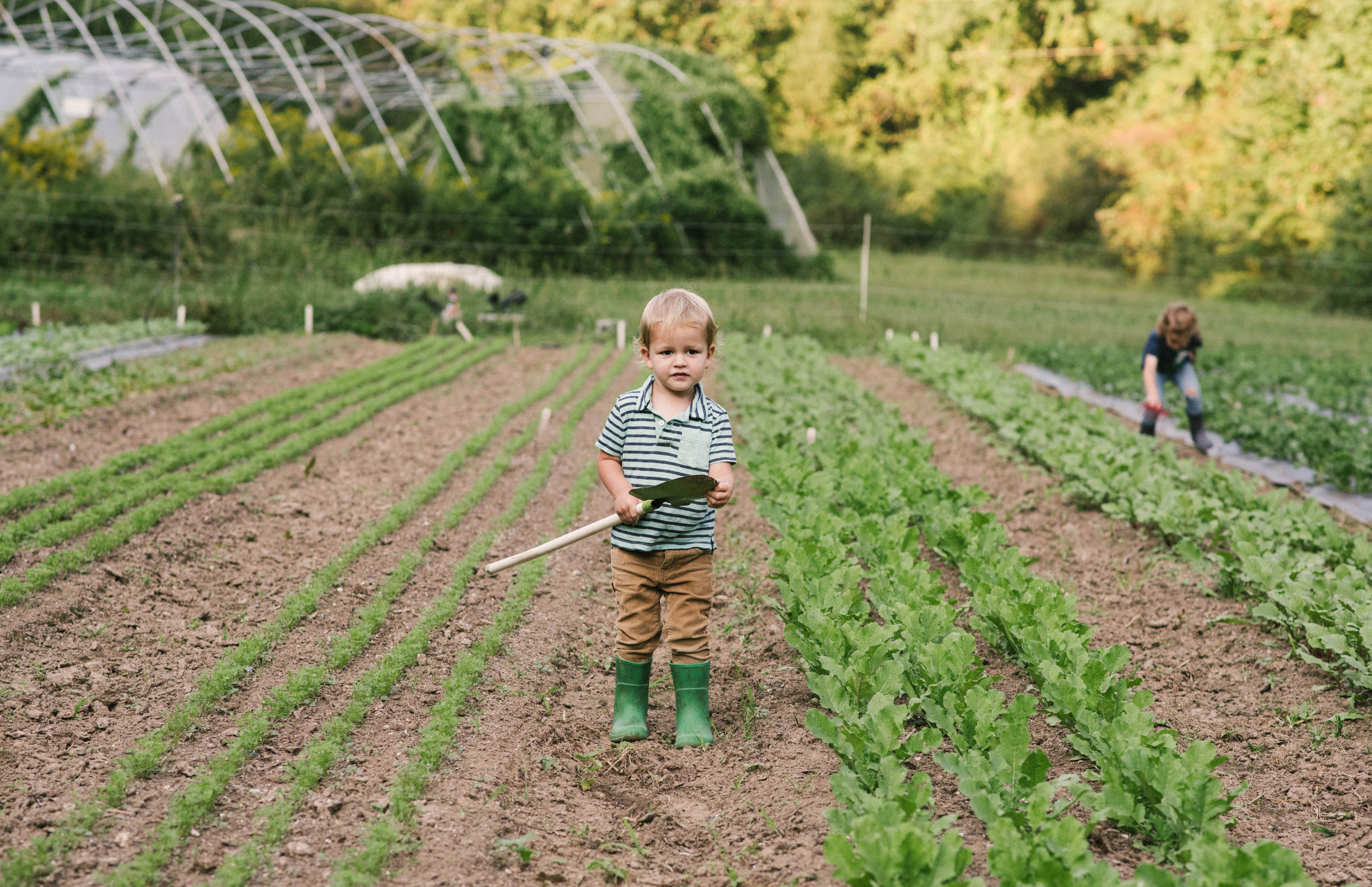 Beaver Dam Road Farm