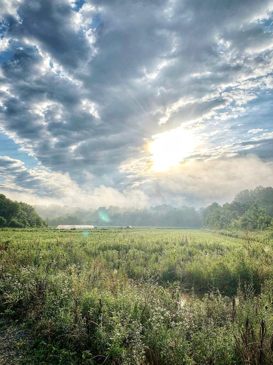 The Unsetting of America: Reflection on Stewardship and Sustainability