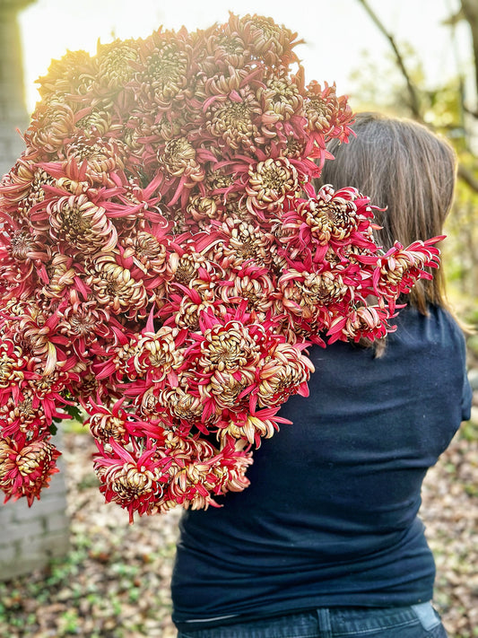 The Mum Project