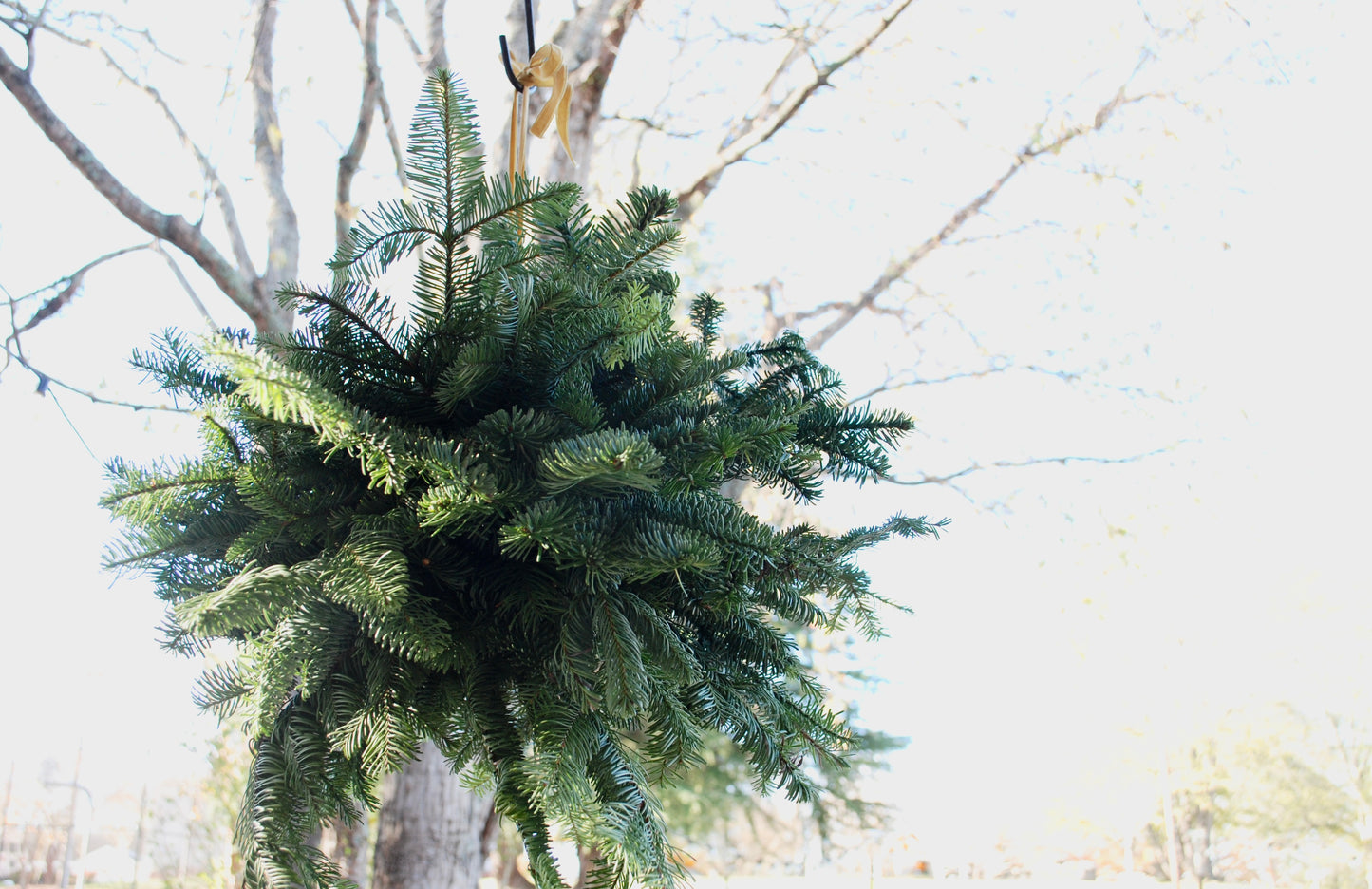 Kissing Ball - Pre-Order Only