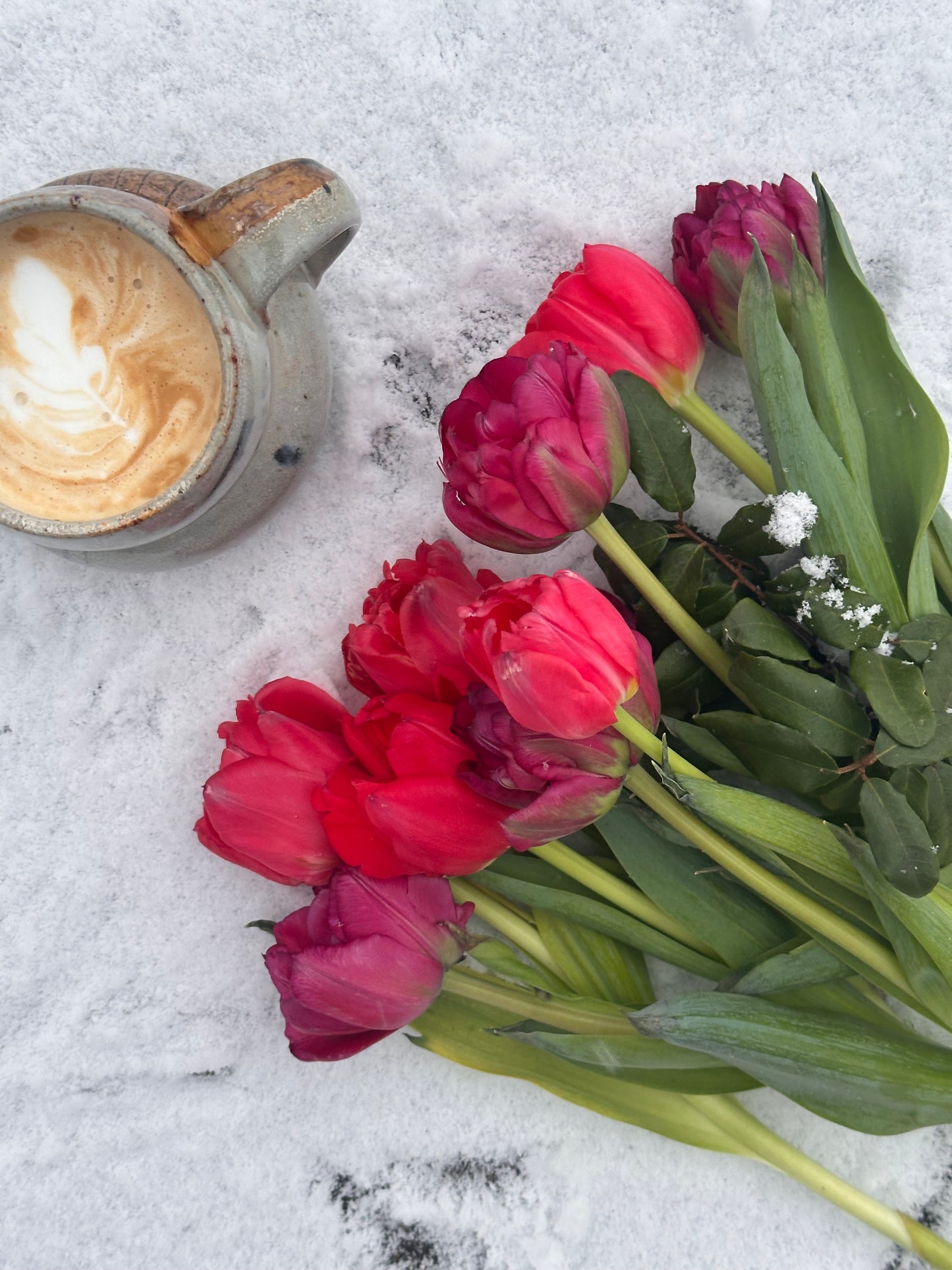 Largo Tulip - 5C