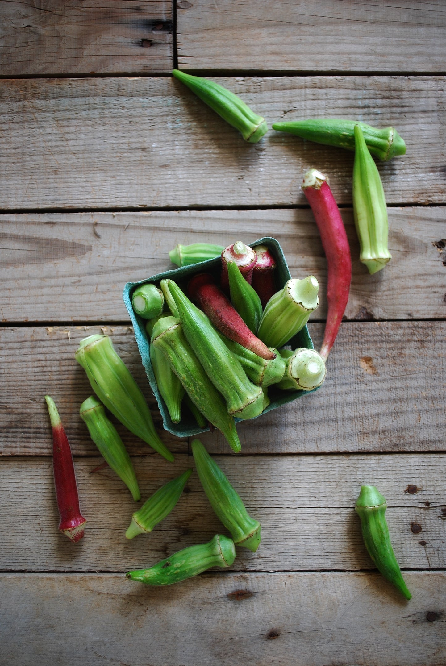 Okra