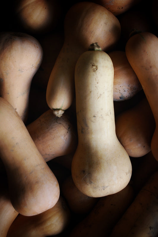 Butternut Squash￼