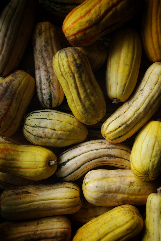 Delicata Squash