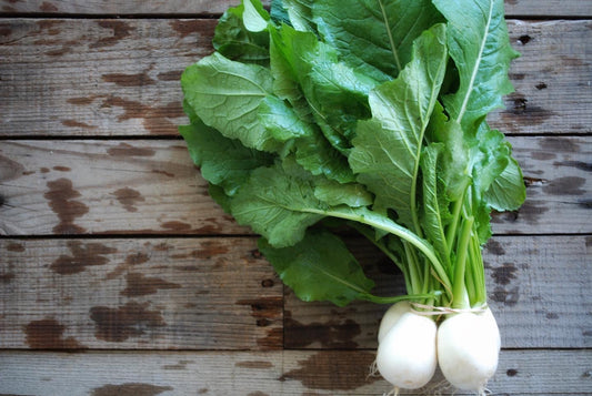 Salad Turnips