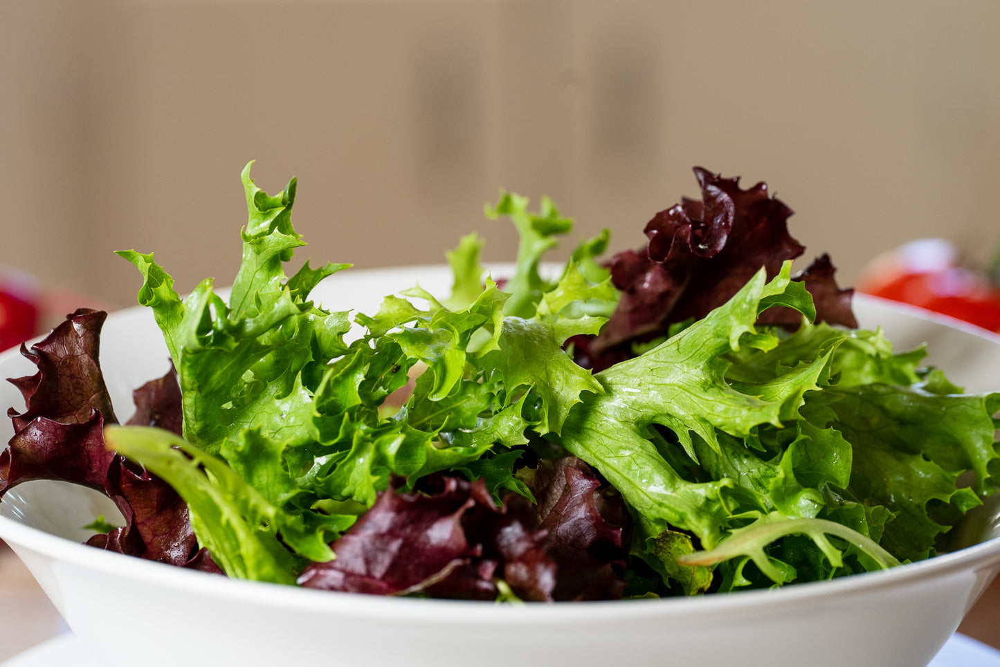 Seasonal Salad Mix - 5 oz.