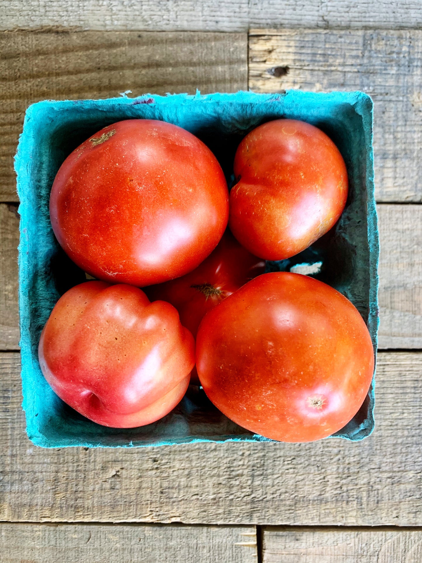Slicer Tomatoes