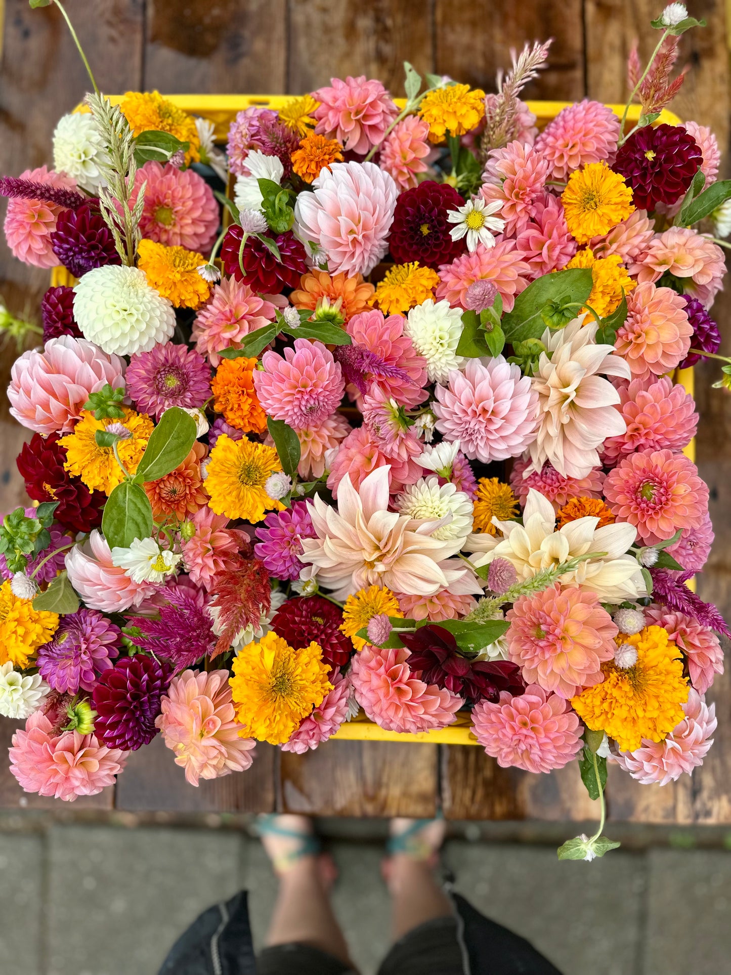 Mason Jar Flowers