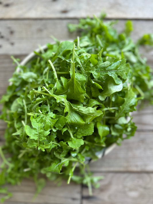 Arugula
