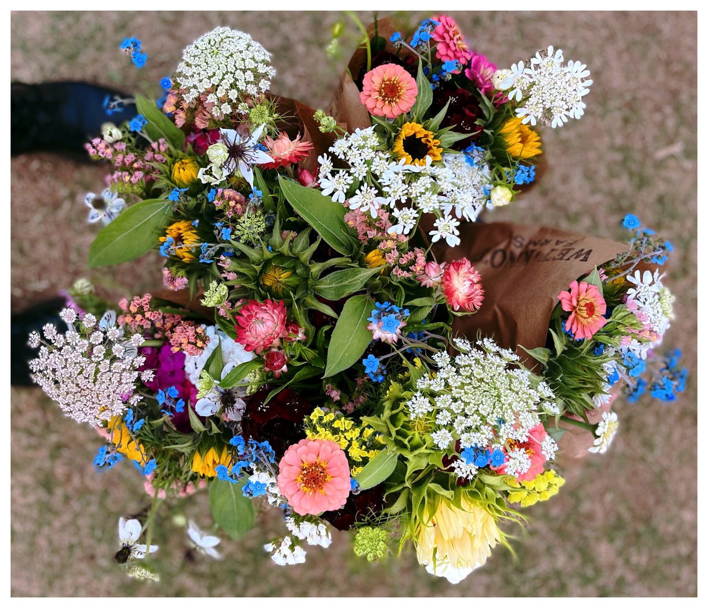 The Sampler: Weekly Floral Subscription